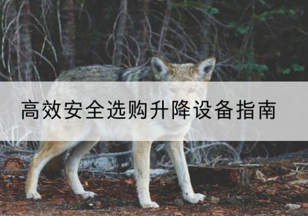 察布查尔升降货梯厂家推荐-*安全选购升降设备指南