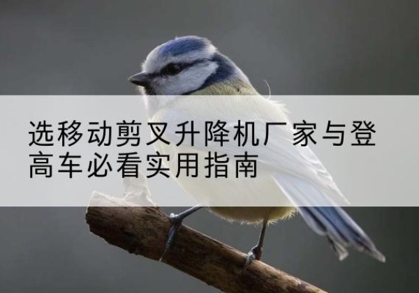 察布查尔电动升降机厂家-选移动剪叉升降机厂家与登高车必看实用指南