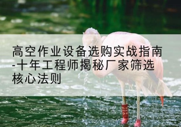 察布查尔剪叉式升降机厂家-高空作业设备选购实战指南-十年工程师揭秘厂家筛选核心法则